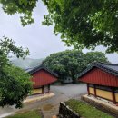 영주 비로사 아미타후불탱화 이미지