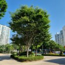 터미널카센터세차장 이미지