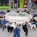 경희대석사 신성 태권도 이미지