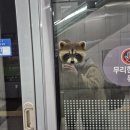 기운센장어본점/네오포크 | 여행1일차,홍성_[기운센장어본점네오포크]