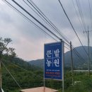 큰밭농원 이미지