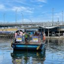 다래하우스펜션 이미지