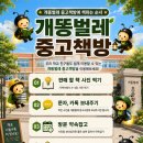 천안초등학교 | 충남 천안시 천안초등학교 천안초등학교 헌책 정리 및 수거 작업 후기｜무더운 날씨에도 신속하고 안전...