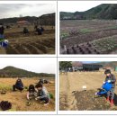 화정농장1 이미지