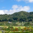 오로라 골프 앤 리조트 이미지