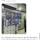 해빛5로 이미지