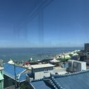 마이구룡포