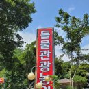 들물 관광농원 | 순천들물관광농원 계곡에 물놀이 하러 다녀왔어요