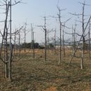 장금농장 이미지