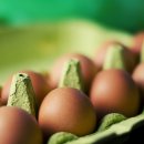 대섬알이랑 이미지