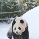 에잇세컨즈 부산광복점 이미지