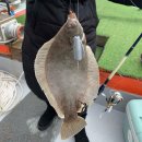 GS25목포북항점 | [낚시여행-목포] 2/25 목포 신세계호 도다리 낚시체험 봄 제철 선상낚시 초보도 성공한 후기