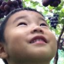 선진농원 - 여주시 태평중앙2길 5 | 선진농원