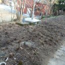 산야초영농조합 이미지