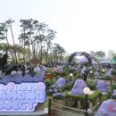 피닉스엔터테인먼트 이미지