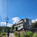 책마루도서관 | 의왕 시청 책마루 도서관 근처 카페 돌프(Cafe Dorp) 후기