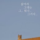 성호카인테리어 | 찜통에 사람있어요...