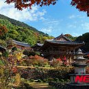 영주 이미지