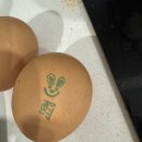 우정덴탈 | 26년 4월2일1term끝 방학시작!