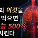 계란과 이것을 같이 먹으면 폐기능, 항암효과 높이는 카로티노이드 흡수율을 500% 증가시킨다 이미지