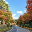 엘리에셀(ELIEZER) 이미지