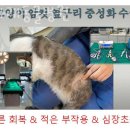 금나래동물병원 이미지