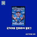 국가대표인테리어 이미지