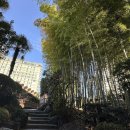 민화로 만나는 이름 이미지