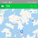 선도수선화 이미지