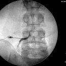 코끼리정형외과의원 이미지
