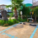 솔라티펜션 이미지