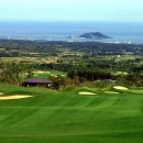 에버리스CC 이미지