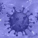 여의축산 이미지