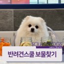 스퀘어독스 롯데남악점 이미지