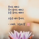 오늘의 꽃 / 나태주 이미지