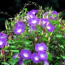 우림부동산중개 이미지