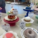 하이도나 이미지