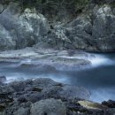 용천리 곡강천 이미지