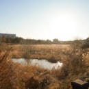 선옥공원 이미지