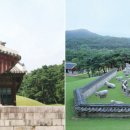 서삼릉길 359 이미지