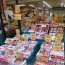 일본, 후쿠오카 여행 이미지