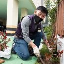 희망나무심기1 이미지