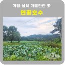 연꽃호수펜션 | 가평 설악 가볼만한 곳 연꽃호수