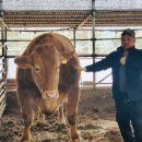 삼성한우농장 이미지