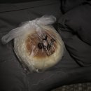 뉴스타정형외과의원 이미지