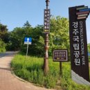 김유신장군로 이미지