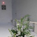 둔산중로-41 이미지