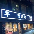 179 | 부산역 양꼬치 맛집 양이랑 내돈내산 후기