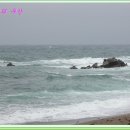 바다가 그리울때 이미지