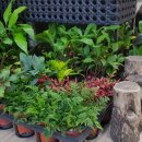 (주)풀과나무 이미지